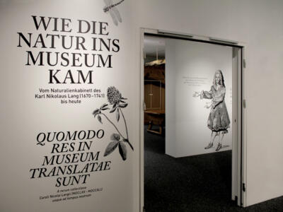 Eingang der Ausstellung