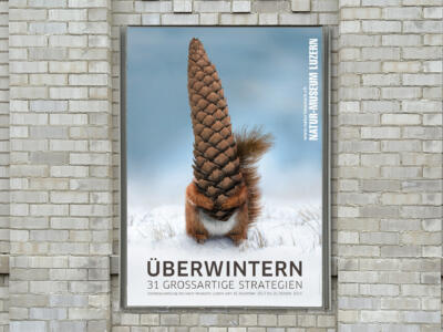 Plakat zur Ausstellung «Überwintern» für das Natur-Museum Luzern