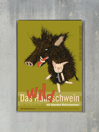 Plakat zur Ausstellung «Das Wildschwein»