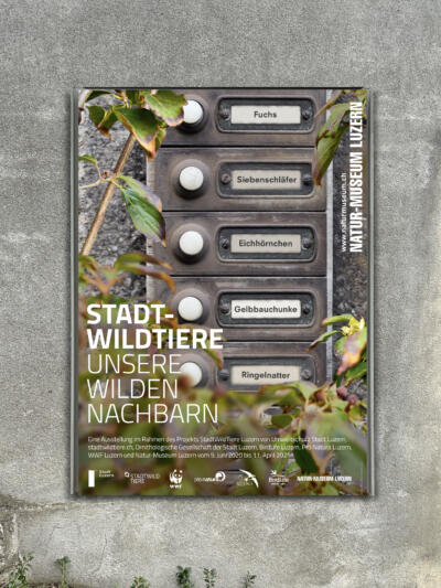 Plakat zur Ausstellung «Stadtwildtiere» für das Natur-Museum Luzern