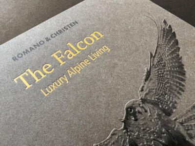 Broschüre The Falcon