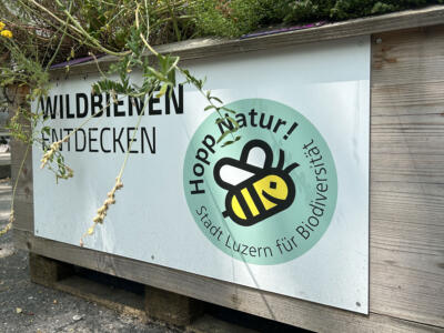 Signet «Hopp Natur! Stadt Luzern für Biodiversität» an einem Pflanztrog